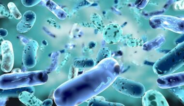 "Nos encontramos en una auténtica carrera contra el tiempo"