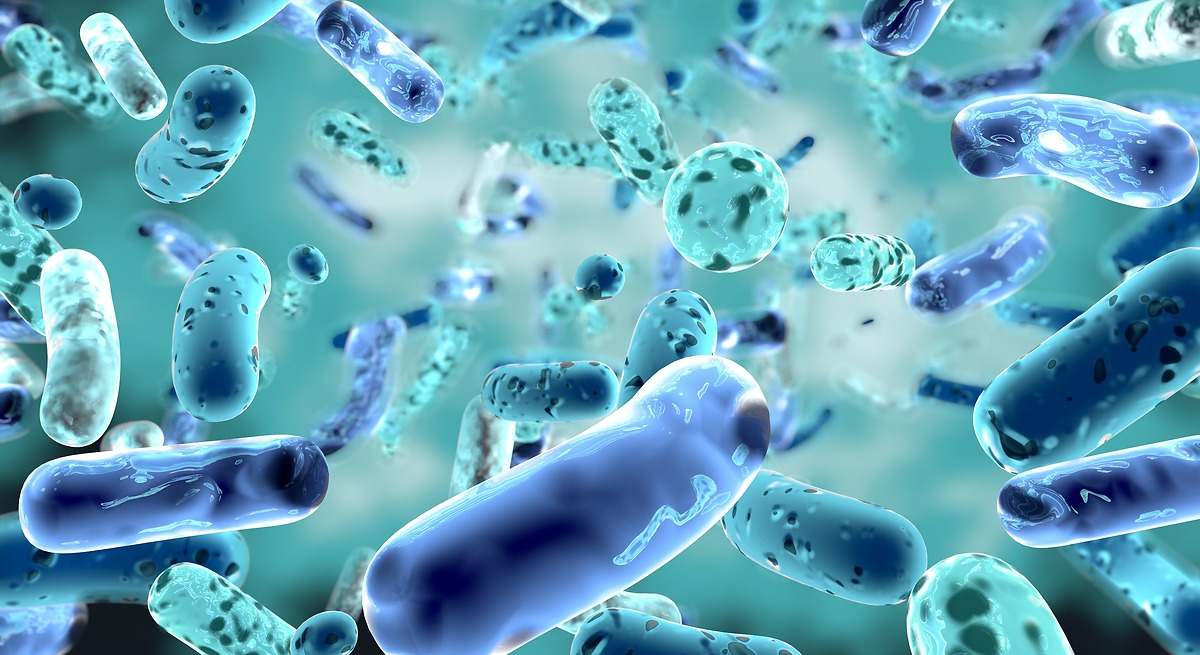 "Nos encontramos en una auténtica carrera contra el tiempo"