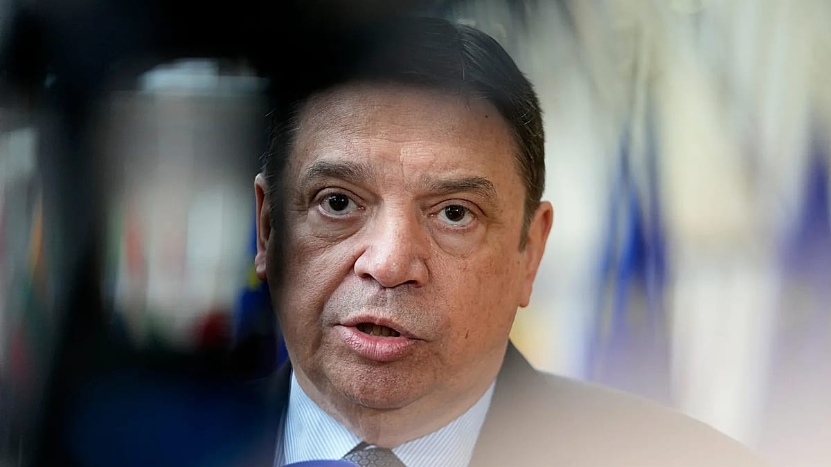 Entran en vigor las medidas para detener la gripe aviar en más de un millar de municipios españoles