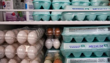 La crisis de los huevos en la UE en 2025: un 10% más caros de media, en España un 17,2%