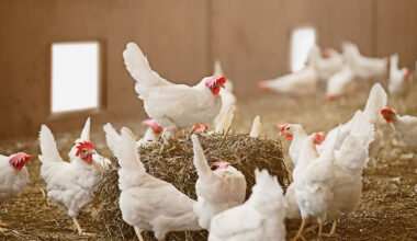 Ir a inicio. La Moncloa