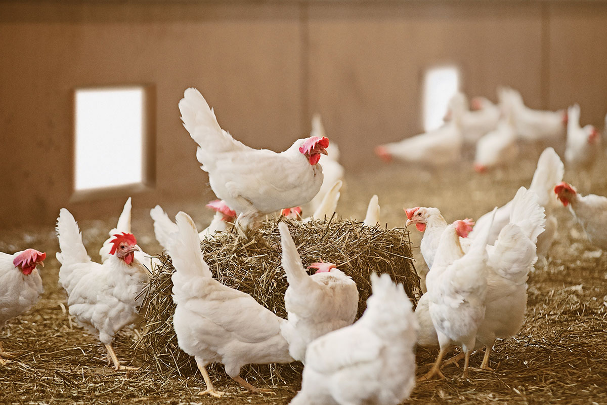 Ir a inicio. La Moncloa