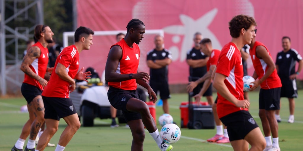 «Por falta de medios no es»