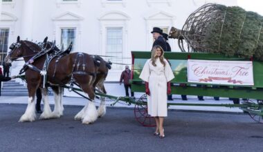 Melania Trump inaugura la Navidad con la llegada del árbol a la Casa Blanca
