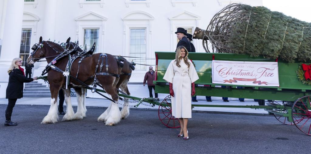 Melania Trump inaugura la Navidad con la llegada del árbol a la Casa Blanca
