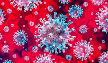 Nanoanillos de proteínas que neutralizan el virus SARS-CoV-2