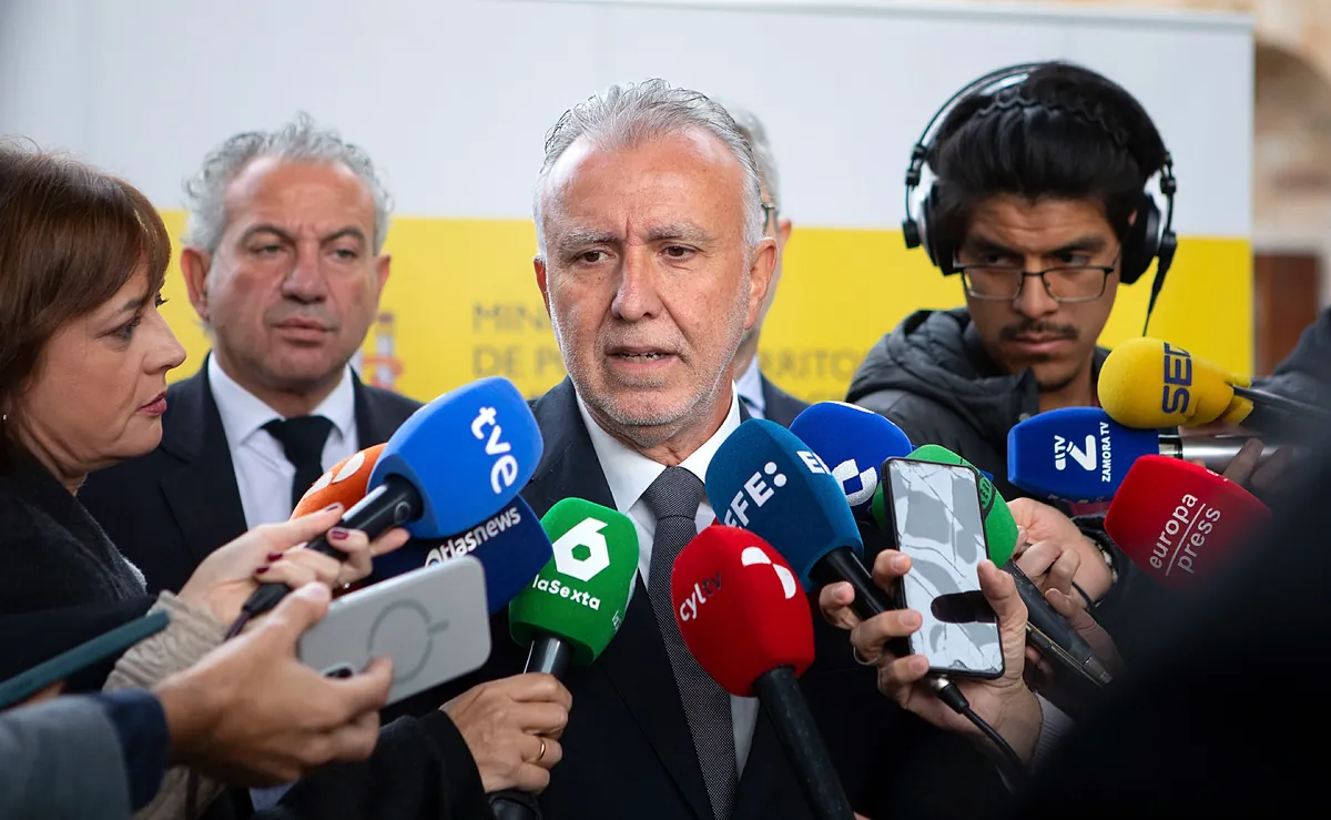 La comisión del Senado que investiga el 'caso Koldo' vuelve a citar al ministro Torres y Vox se querella contra él por falso testimonio - El Mundo