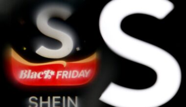 Shein se libra por ahora de suspensión en Francia, pero sigue bajo vigilancia