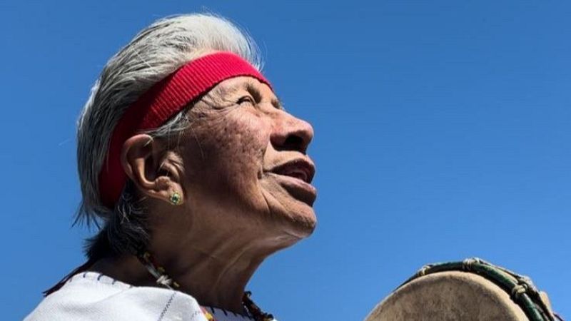 clave para la lucha contra los transgénicos