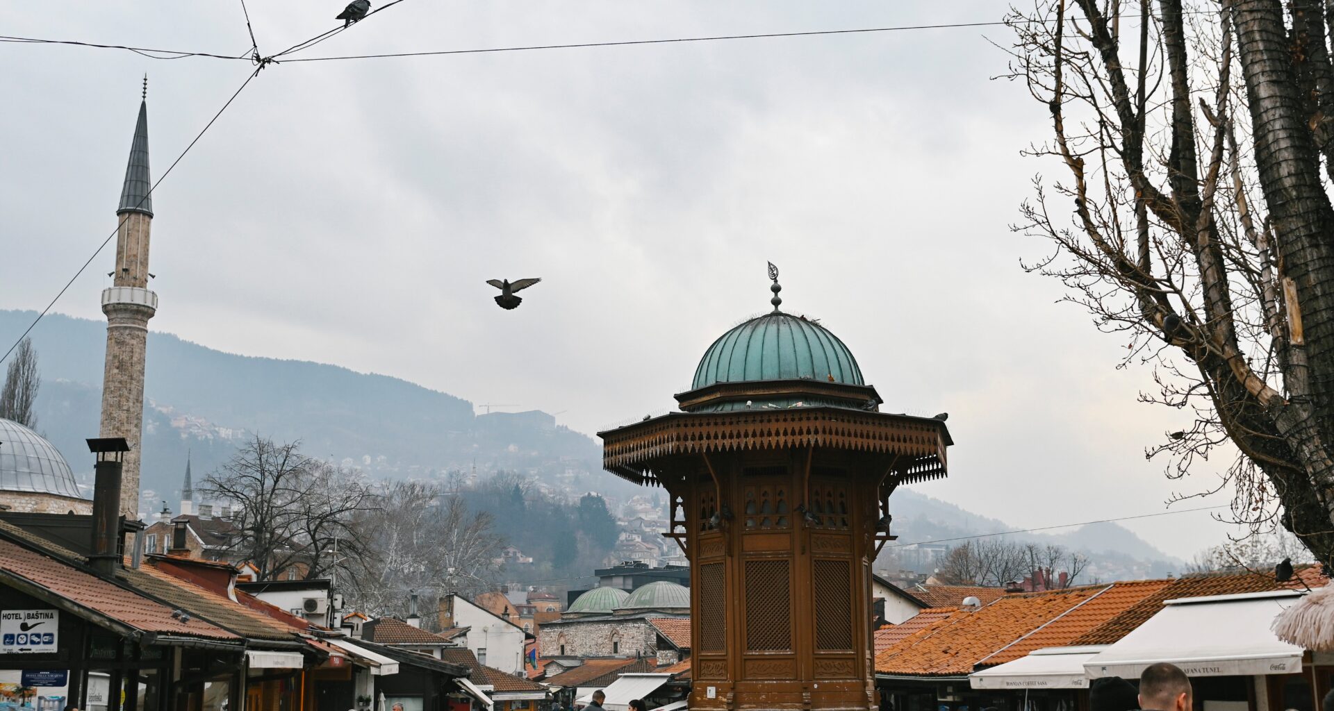 El Orden Mundial: Millonarios de safaris humanos en los Balcanes - El Orden Mundial - Julia en la onda