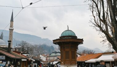 El Orden Mundial: Millonarios de safaris humanos en los Balcanes - El Orden Mundial - Julia en la onda