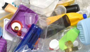 Qué son los bisfenoles y por qué podrían estar detrás de la obesidad y la diabetes