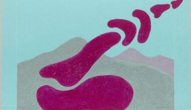 'Una col·lecció permanentment canviant' en el Museo Can Framis