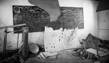 El bosque habitado - Educando para la Paz. Con Profes por el futuro