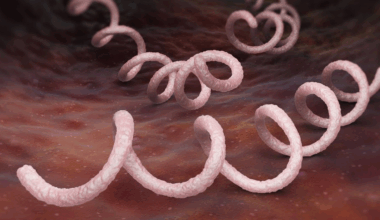 Una emergencia del presente