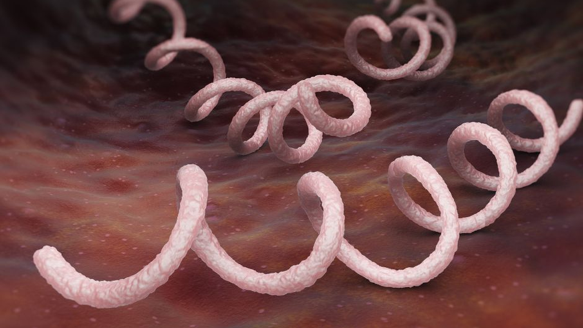 Una emergencia del presente