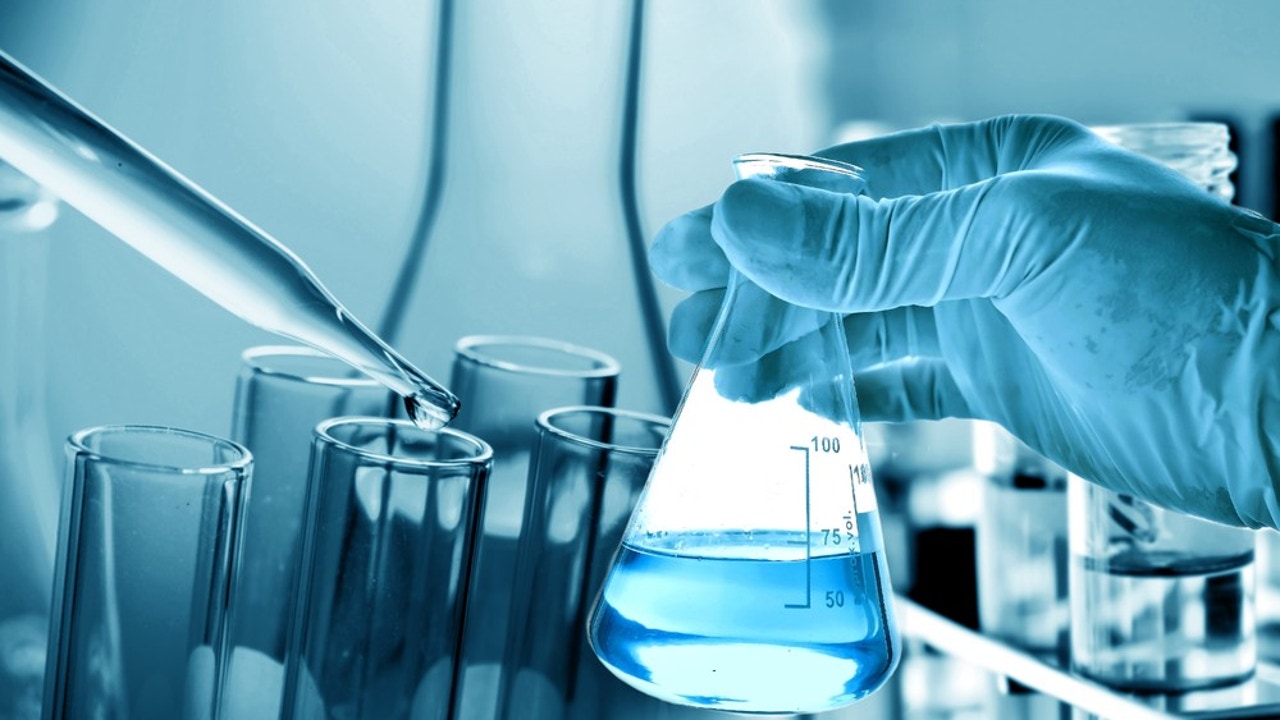 Científicos afirman que crearon una "fábrica de sangre" humana que imita con precisión la médula ósea humana