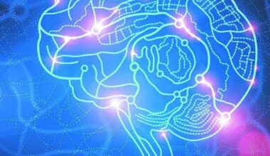 millones de neuronas funcionando como un sistema vivo