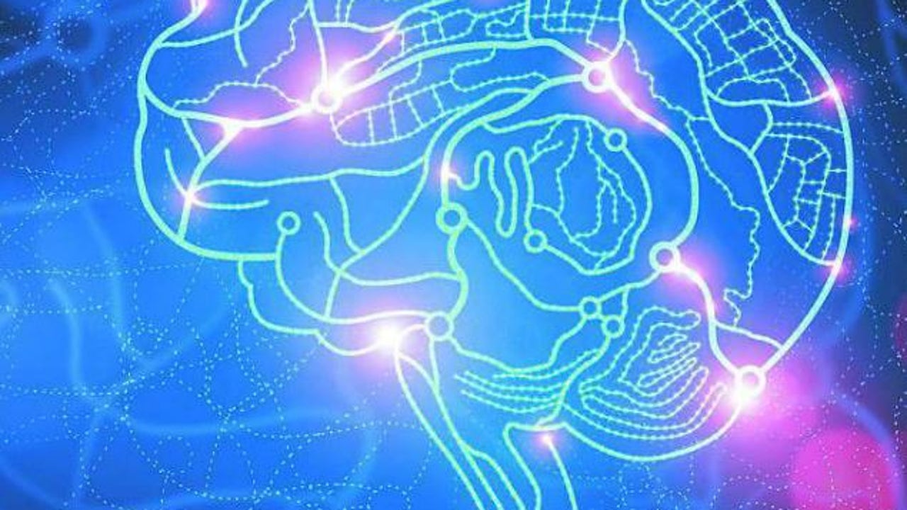 millones de neuronas funcionando como un sistema vivo