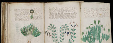 El manuscrito Voynich: el misterio del "libro que nadie ha podido leer" puede estar a punto de resolverse