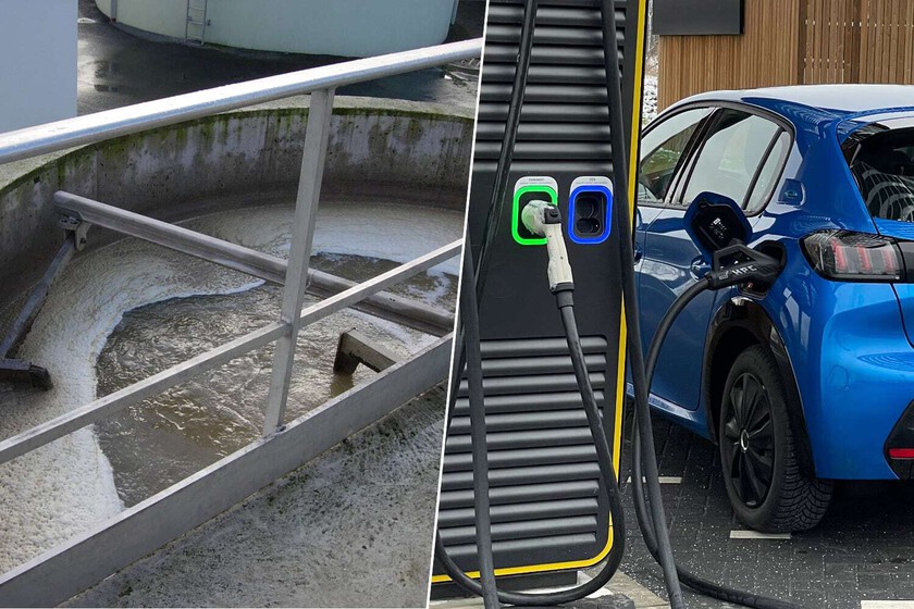 cómo los excrementos apuntan a revolucionar las baterías de litio-azufre