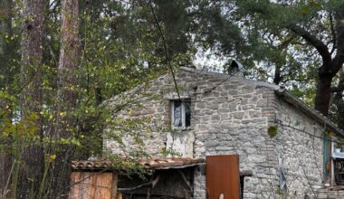 El caso de la “familia del bosque” que divide a Italia: ¿libertad de vida alternativa o negligencia parental?