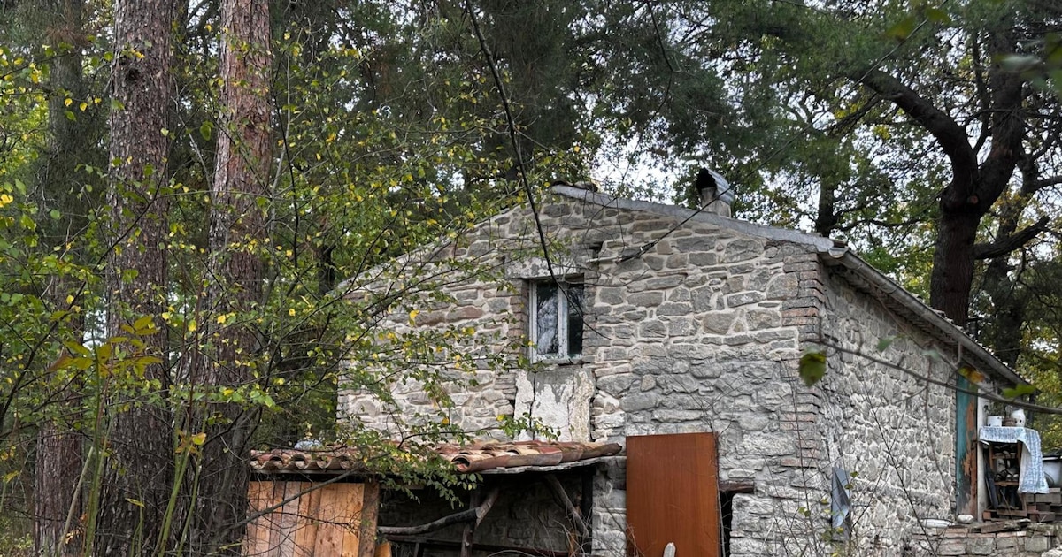 El caso de la “familia del bosque” que divide a Italia: ¿libertad de vida alternativa o negligencia parental?