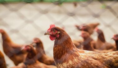 estos son los síntomas que no debes ignorar