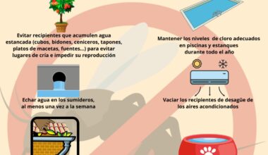 cartel mosquito mayo 2025