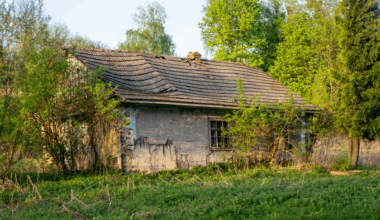 Una familia quiso vivir solo con paneles solares, agua de pozo y un huerto. Hasta que Italia le quitó a sus hijos