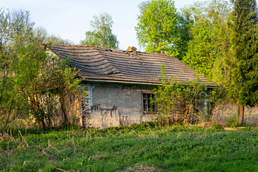 Una familia quiso vivir solo con paneles solares, agua de pozo y un huerto. Hasta que Italia le quitó a sus hijos