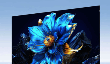 el chollo del Black Friday