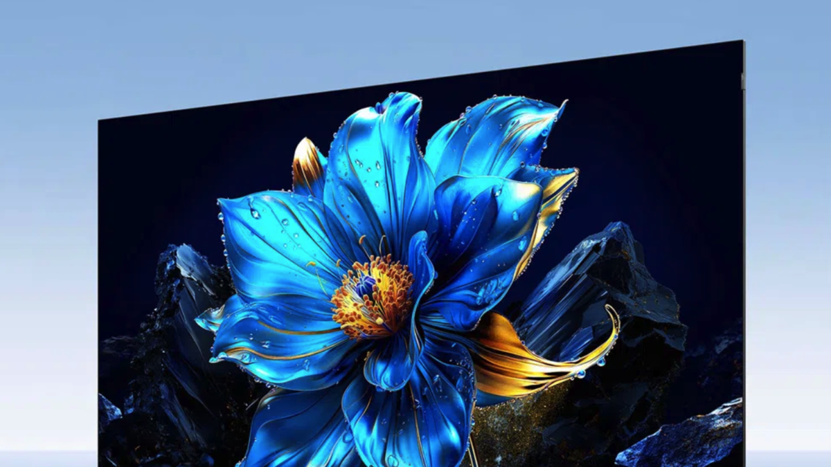 el chollo del Black Friday