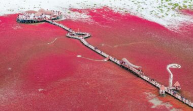 del misterio de la playa roja a lienzos de hielo