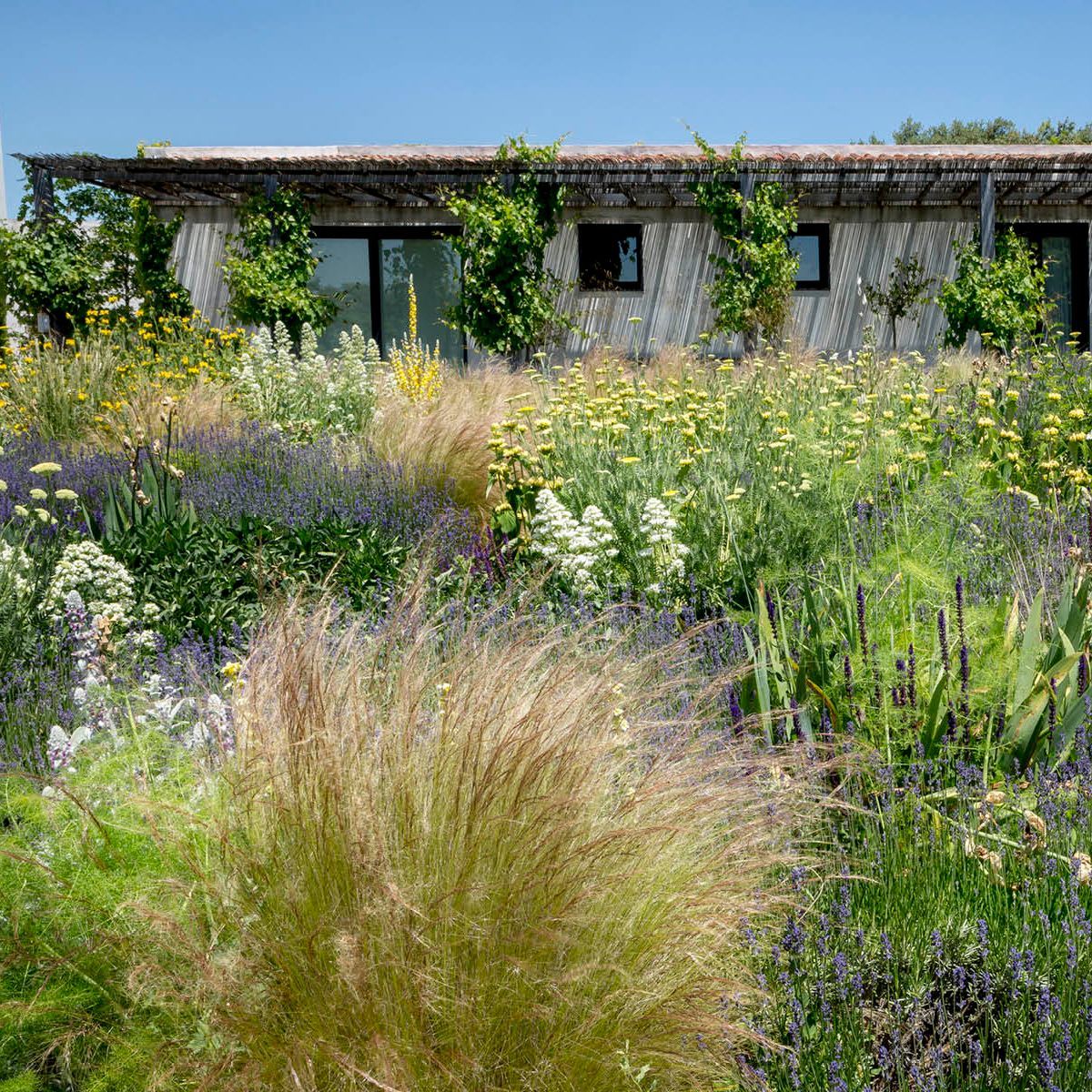 Los mejores paisajistas jardines contemporneos