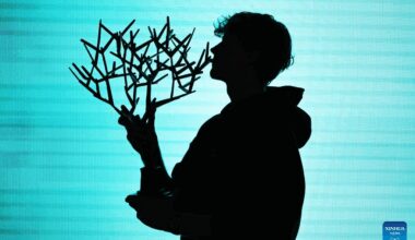 Jannik Sinner conquista el título del torneo de tenis ATP Masters 1000 de París