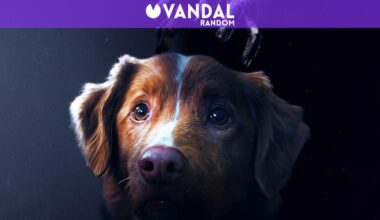 El perro de la película de terror 'Good Boy' hace historia: competirá con Ethan Hawke y Sophie Thatcher en Mejor Interpretación - Vandal