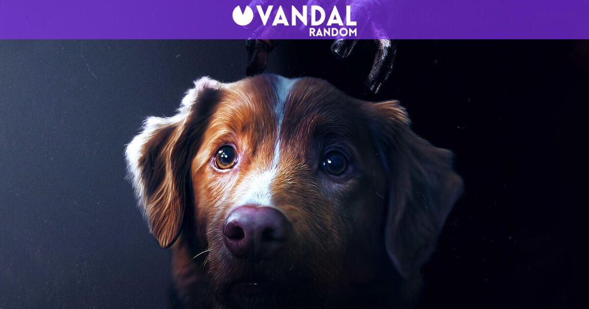 El perro de la película de terror 'Good Boy' hace historia: competirá con Ethan Hawke y Sophie Thatcher en Mejor Interpretación - Vandal