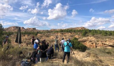 El Periódico Aragón