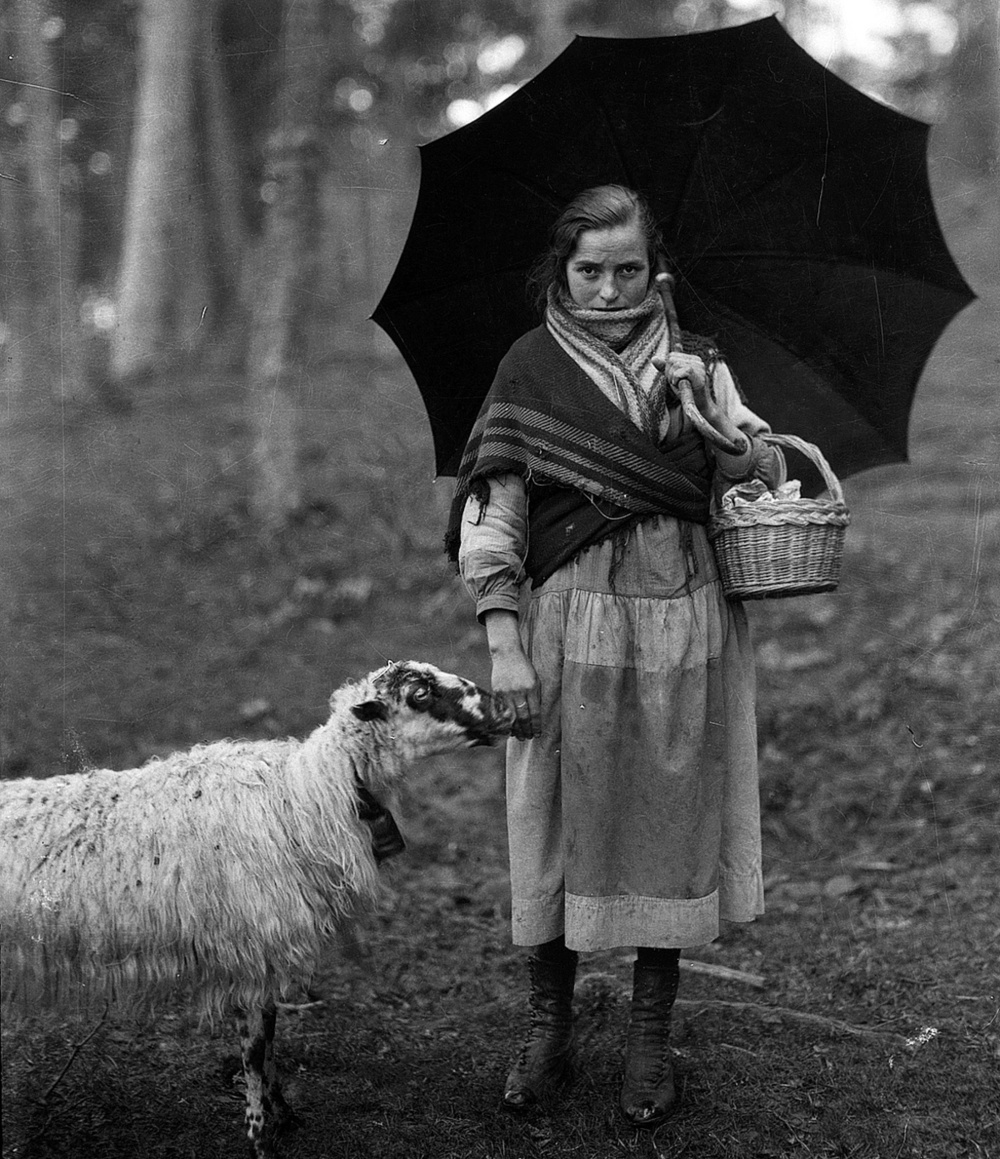 Pastora con una oveja en Quintanar de la Sierra.