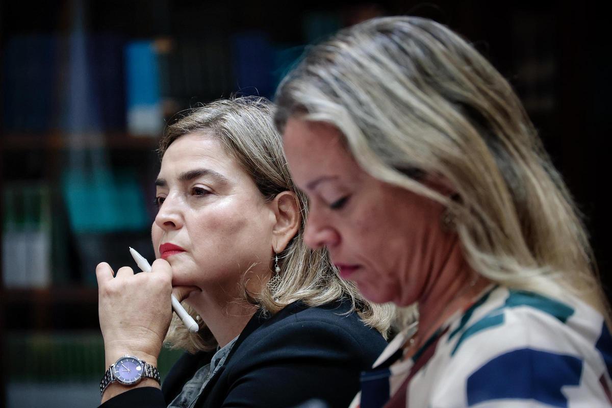 María Méndez tras anunciar su renuncia