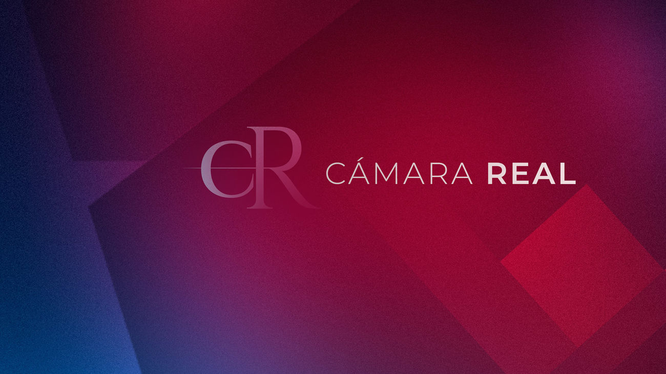 Cámara Real 16.11.2025