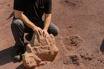 La dificultad para rastrear la