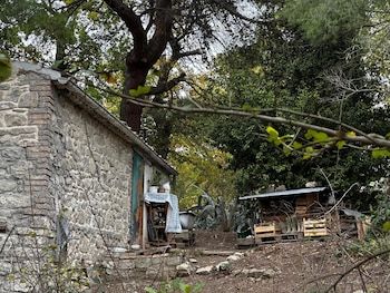 Un tribunal ordenó retirar a