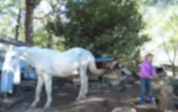 Según el tribunal, los niños