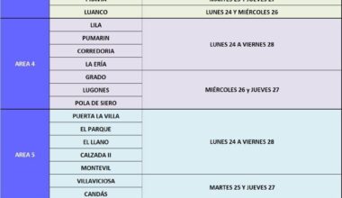 El Sespa ha vacunado ya contra la gripe a más de la mitad de la población mayor de 64 años - El Sespa ha vacunado ya contra la gripe a más de la mitad de la población mayor de 64 años