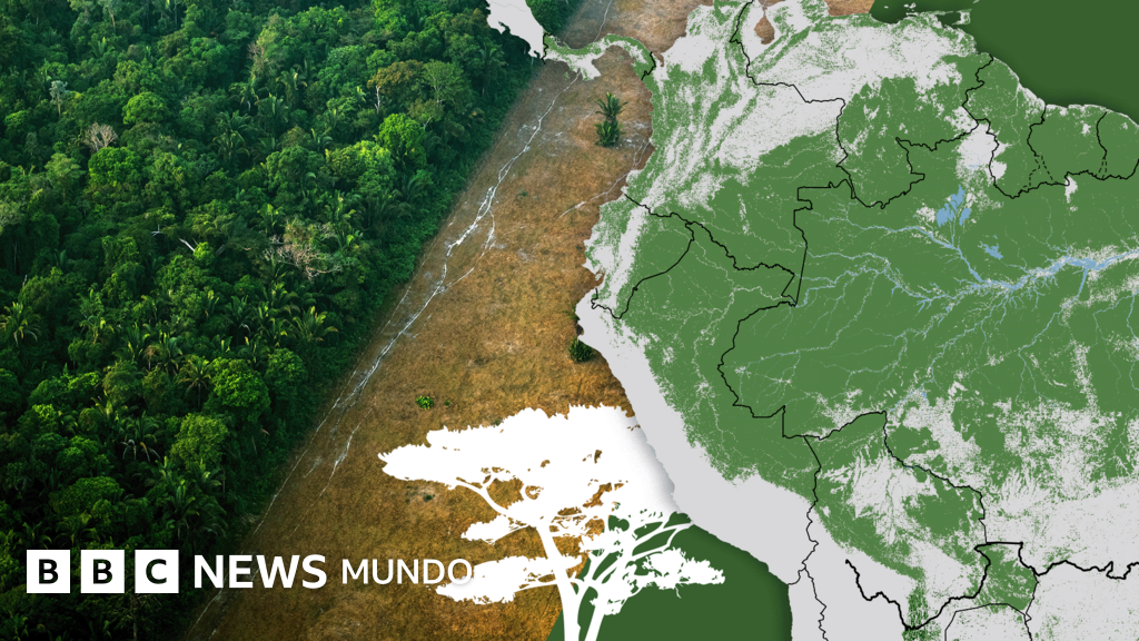 Los gráficos, mapas y fotos que muestran la lenta muerte de la Amazonía y por qué el mundo debería preocuparse