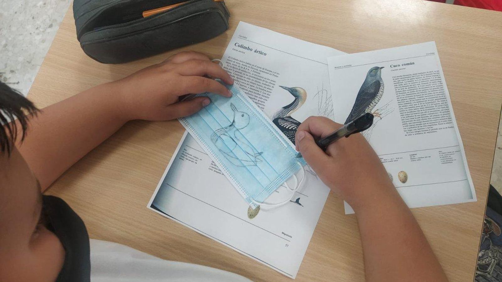 Mascarillas Mascarillas