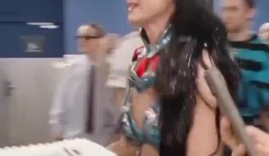 Críticas a Katy Perry por tirar al suelo una tarta de cumpleaños hecha por una fan