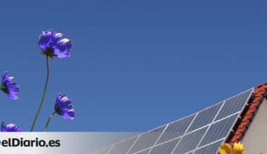 Competencia calcula que las ayudas al autoconsumo han podido cubrir “más del 90% del coste” para algunos hogares